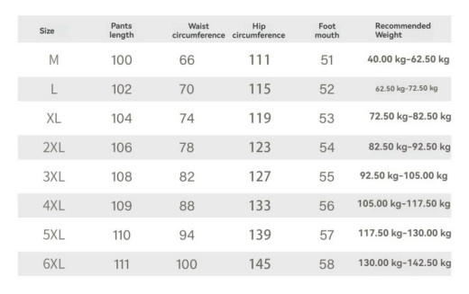 Product image: TTgarment  Wide Leg Casual Pants for Men Laser Engraving Logo LEL006